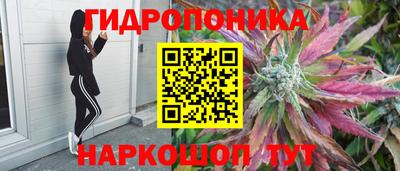 jwh Обь